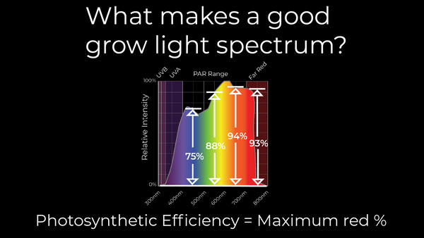 Red light is photosynthetically efficient