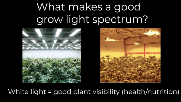 LED grow lights emit a better quality light to inspect the health of your plants