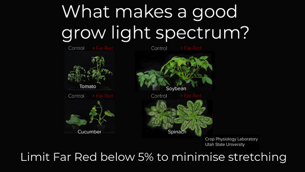 Trop de rouge lointain peut étirer les plantes
