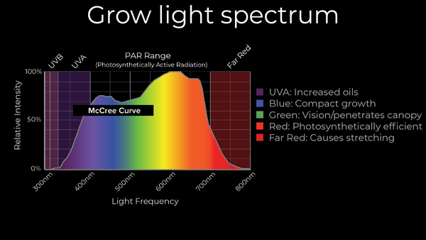 Les effets de différents spectres sur la forme et le développement des plantes