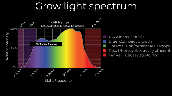 The effects of different spectrum on plant shape and development