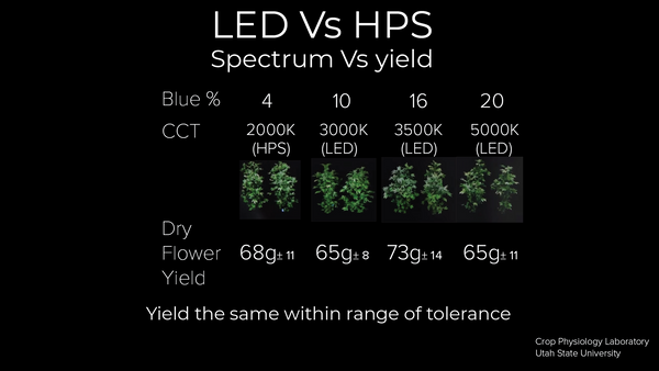 Spectre LED vs HPS vs rendement