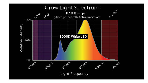 Temperatur des LED-Wachstumslichts