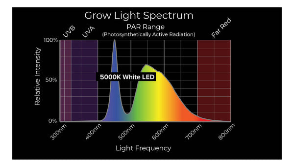 LED-Wachstumslicht mit kaltem weißen Spektrum