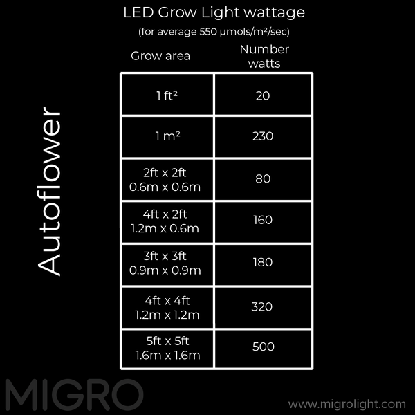 recommended wattage per square foot or square meter for autoflowerplants