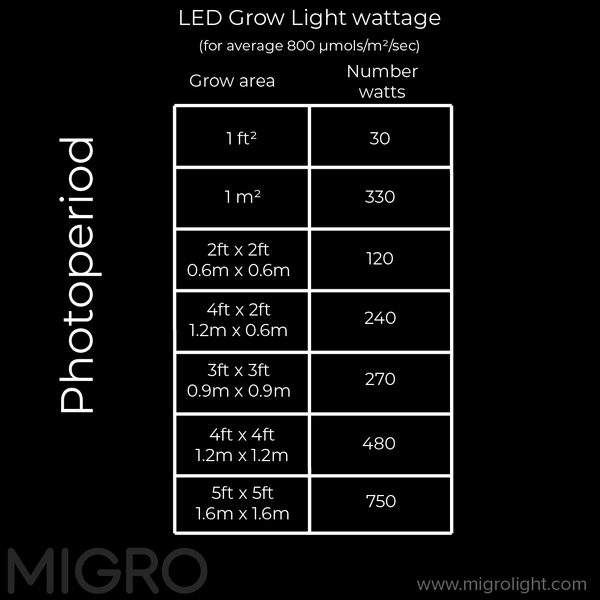 recommended wattage per square foot or square meter for photoperiod plants