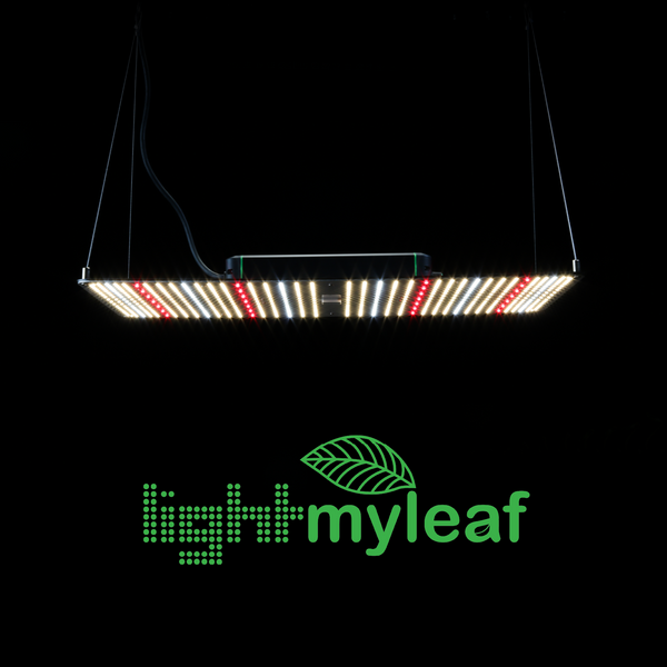 Lightmyleaf 240W LED grow light review