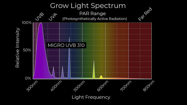 MIGRO UVB 310 UV grow light emits UVA and UVB to the plants