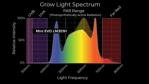Mammoth Mint Evo LED grow light spectrum output