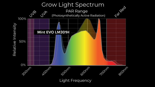 Mammoth Mint Evo LED-Wachstumslichtspektrumausgabe