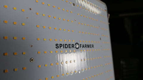 Spider Farmer SF4000 verwendet Samsung LM301B-LEDs
