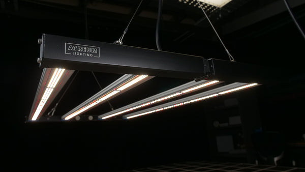 Atreum Lighting Hydra 3200 LED-Wachstumslampe im Test