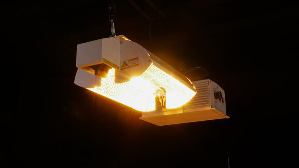 1,000W DE digital HPS fixture