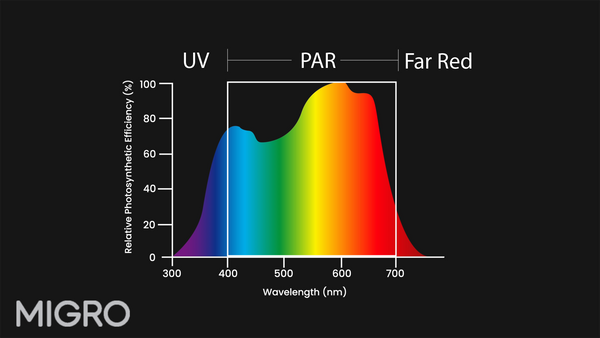 Photosynthetically Active Radiation McCree curve