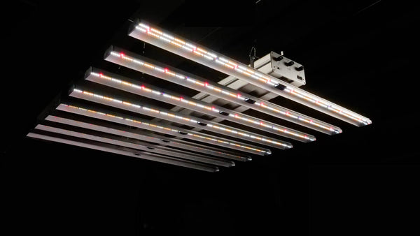 Parfactworks ZE7000 LED grow light review