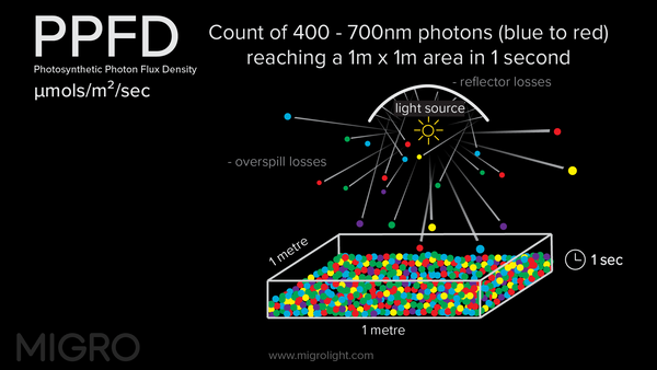 Photosynthetically Active Radiation is measured as PPFD