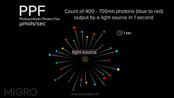 PPF or Photosynthetic Photon Flux