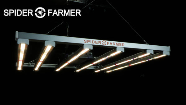 Spider Farmer SE5000 LED grow light test and review