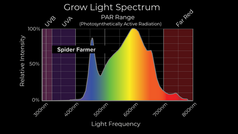 SF4000 spectrum