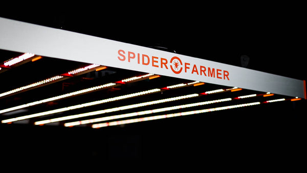Évaluation du Spider Farmer G8600