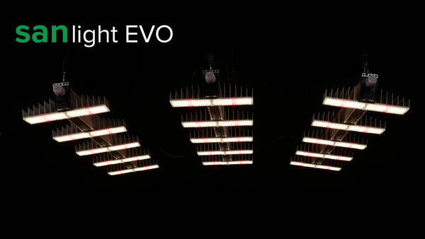 Examen de la lampe de culture Sanlight Evo 5