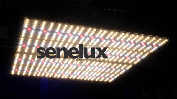 Senelux SE4000 LED grow light review