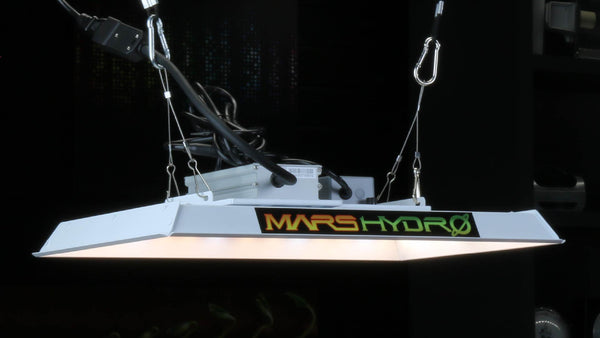 MARS Hydro TS1000 LED grow light review
