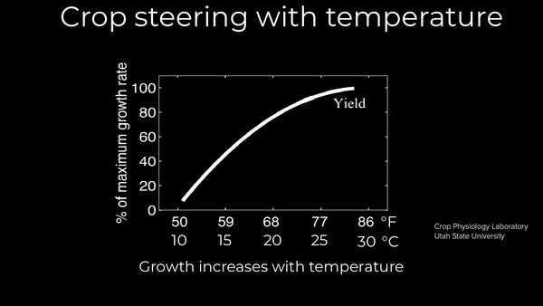 Crop steering with temperature in the early stages of vegetative growth