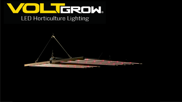 Test du Volt Grow FL1