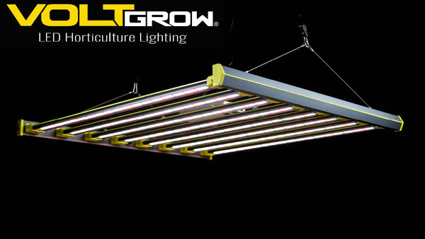 Volt Grow Storm 8 LED grow light review