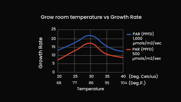 Ideal temperature range for growing Cannabis