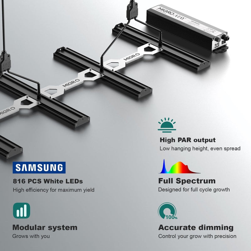 Array 4 specs