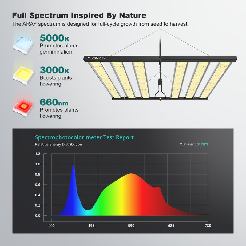 MIGRO ARAY 5x5 lights