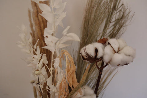 Dried flower arrangement with pampas, cotton and ruscus