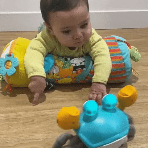 Cute Crawling Crab - Interactive Toy – Bubs 'n' Bits AU