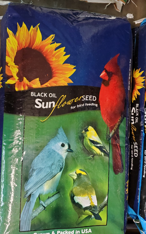 Bird Feed