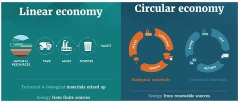 linear vs cyclical economy