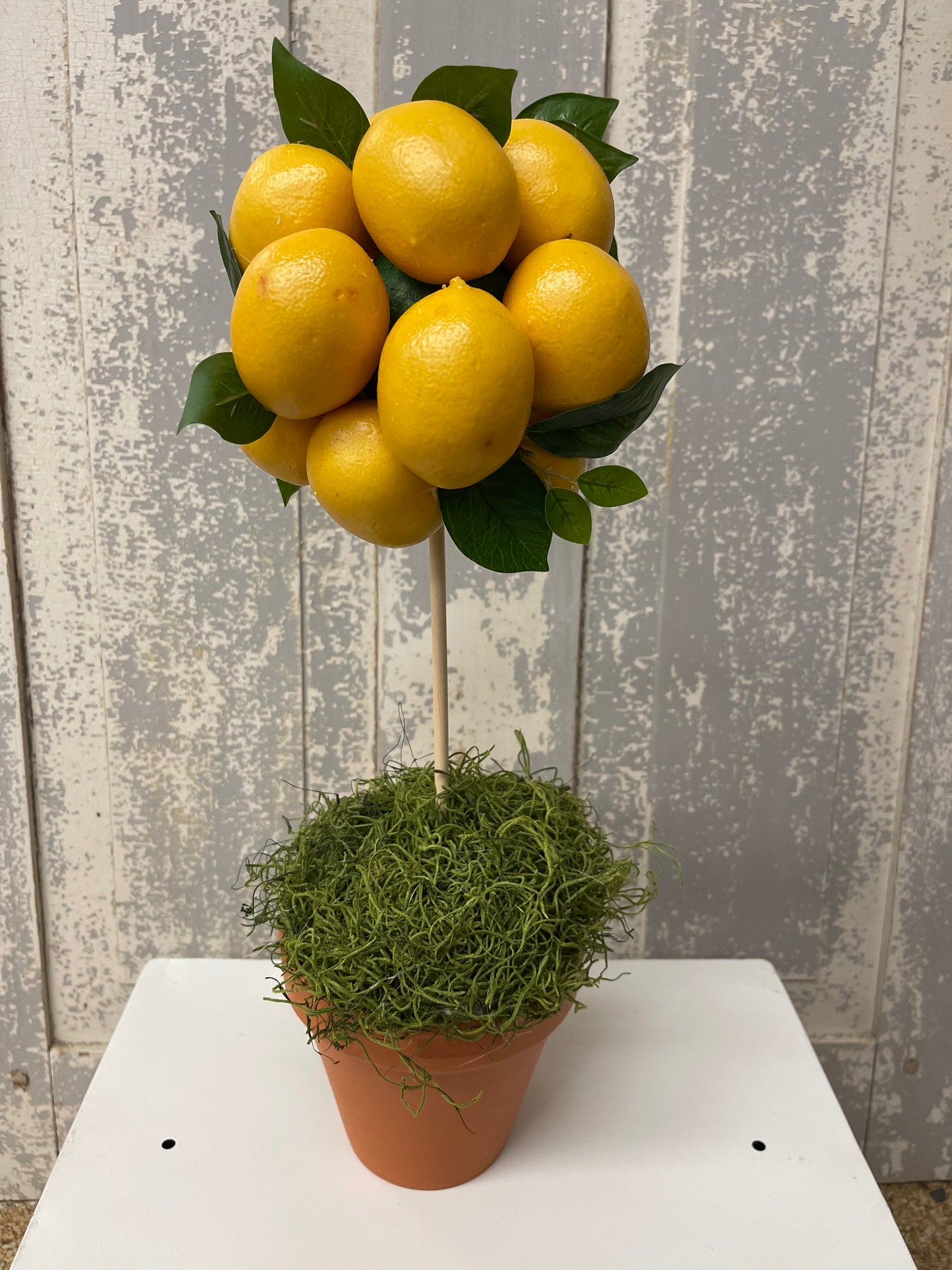 Lemon Topiary Lemonandlimecraftco