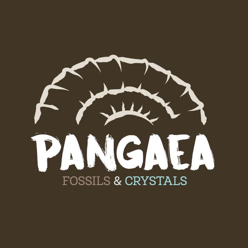 pangaea rocks