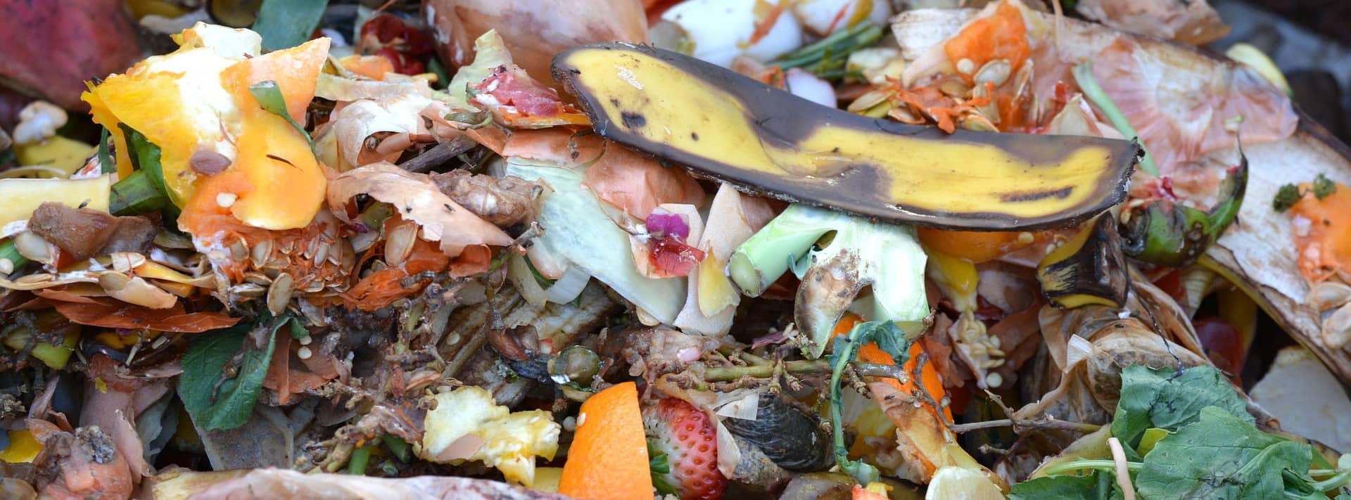 Komposthaufen mit Resten von Lebensmitteln