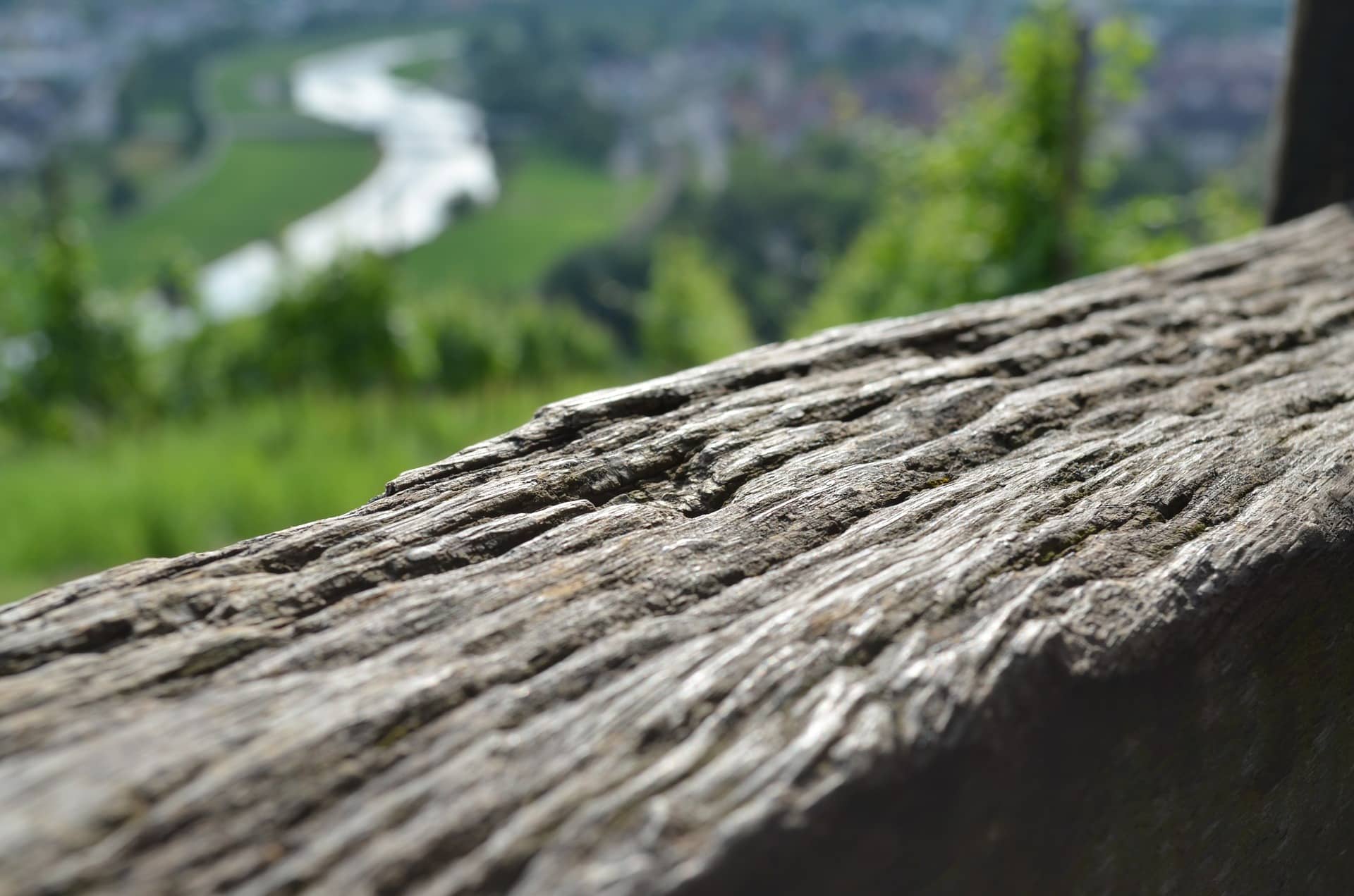 Fasriger Holzbalken in der freien Natur 