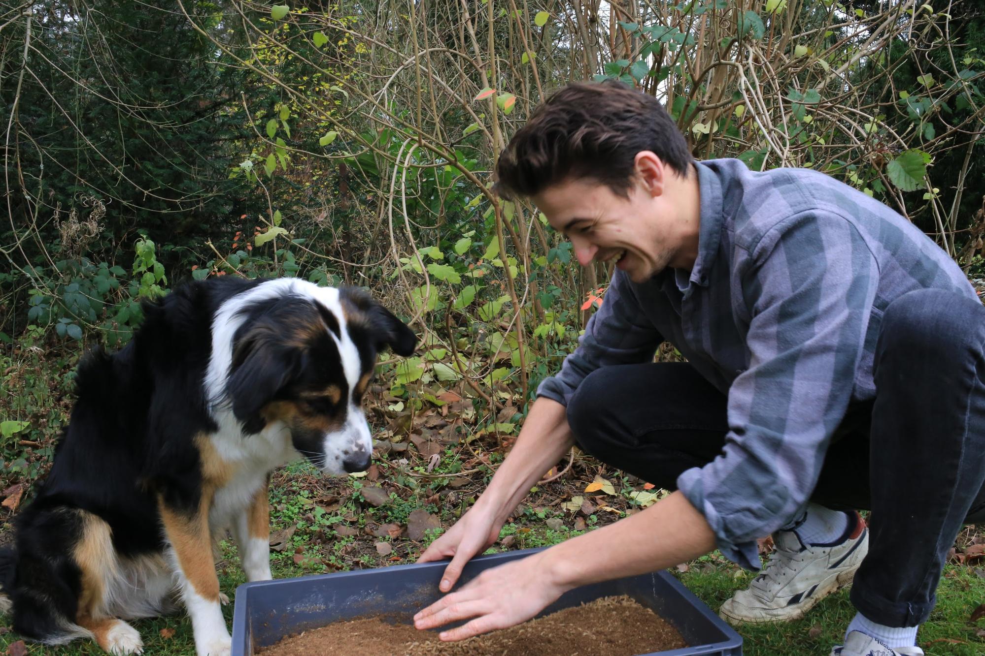 Hund und Mensch schauen in eine Kiste voll Insekten