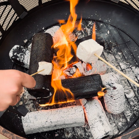toasting marshmallows over a fire pit