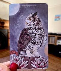 High priestess from Likely Tarot - an owl