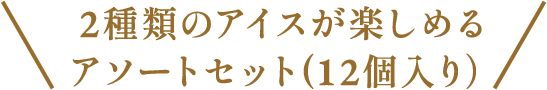 2種類のアイスが楽しめるアソートセット（12個入り）