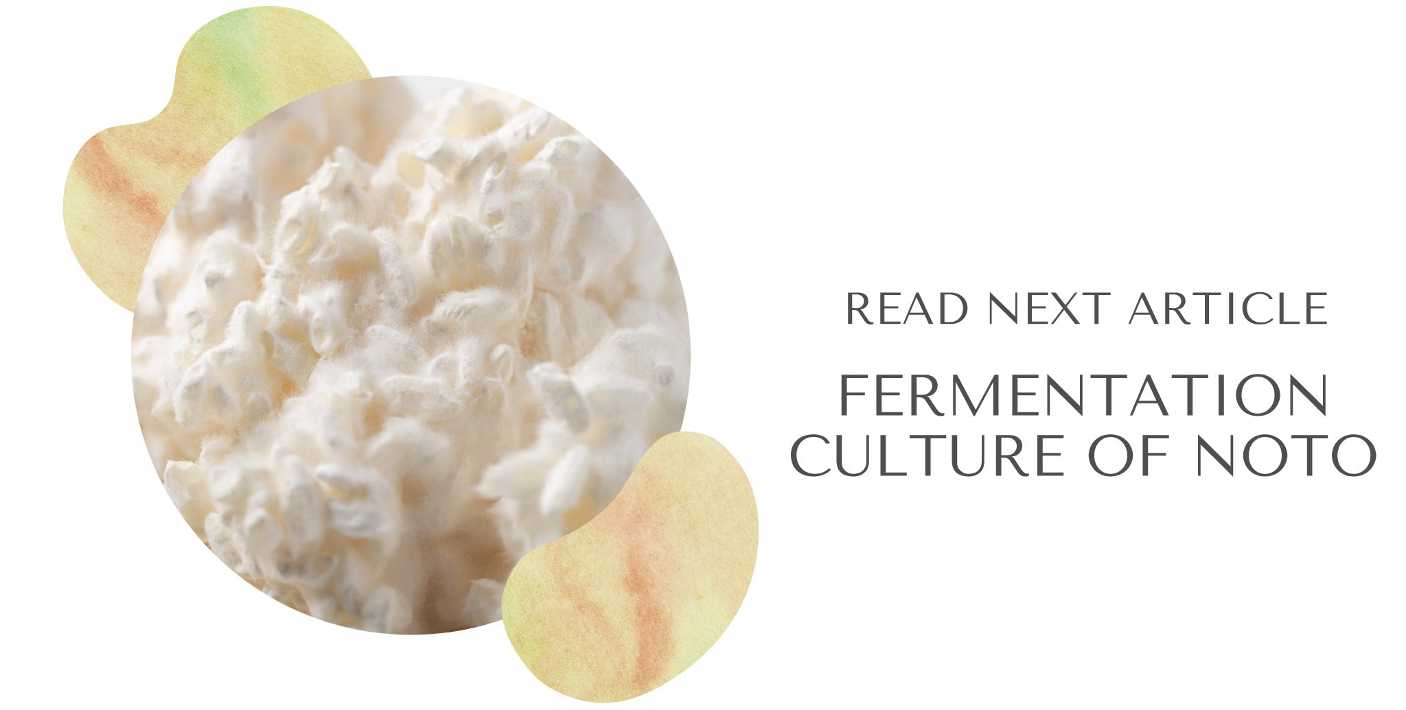 次の記事、発酵王国と呼ばれるほど発酵文化が盛んな能登半島の発酵文化について