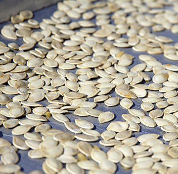 pumpkin-seeds-original