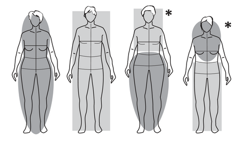An illustration showing four line drawings of figure outlines. A gray oval or rectangle imposed over each figure indicates variations in body proportions.