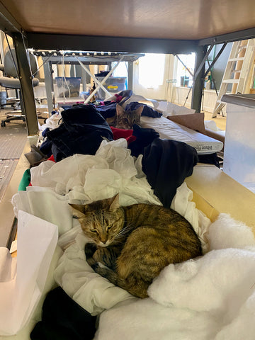 Clearly my cats don't mind all those piles of fabric under my cutting table.