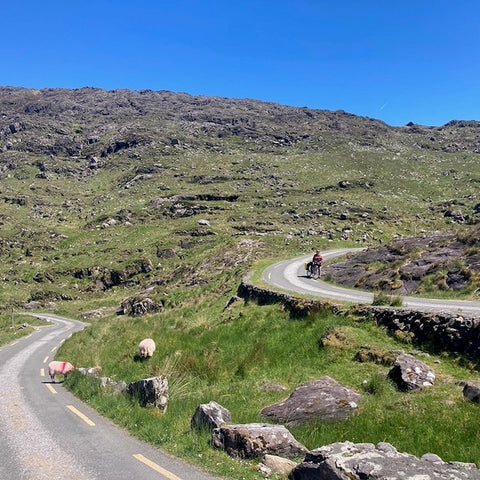 Ruby is walking her bike down a winding mountain pass road. The road is empty except for her and some sheep that have wandered into it.